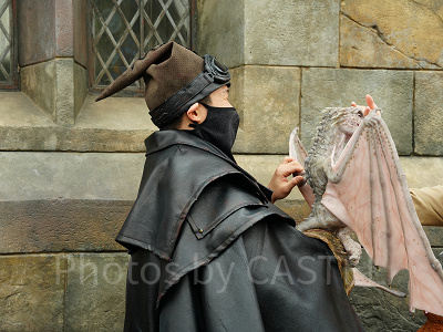 USJ魔法生物との出会い/ベビードラゴン