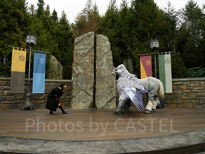 USJ魔法生物との出会い/ヒッポグリフ