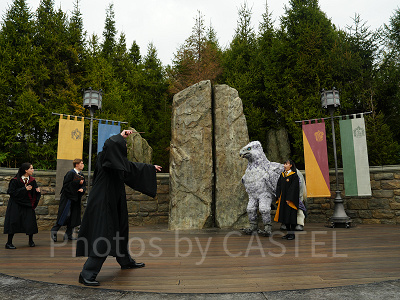 USJ魔法生物との出会い/ヒッポグリフ
