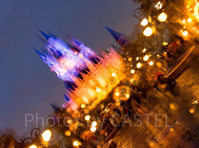 雨の日でもディズニーを楽しもう！