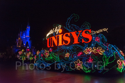 エレクトリカルパレードを楽しもう!