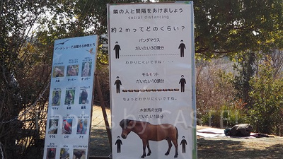 動物たちで解説！ソーシャルディスタンス