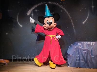 ファンタジア(魔法使いの弟子)