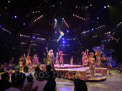 フェスティバル・オブ・ライオン・キング