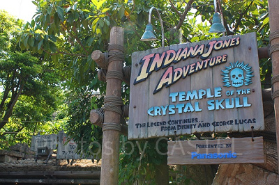 若さの泉を見つけよう!