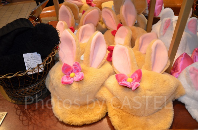 もこもこミスバニー