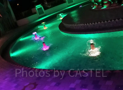 ジャスミンのフライングカーペット（夜の水面）