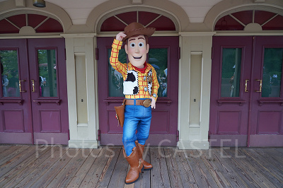 ディズニーランドで楽しめるフリーグリーティング