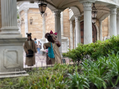 5月8日からグリーティングでハグが可能に！