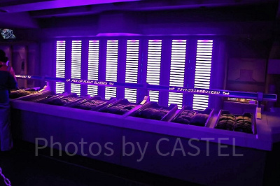 フライトグラスがいっぱい