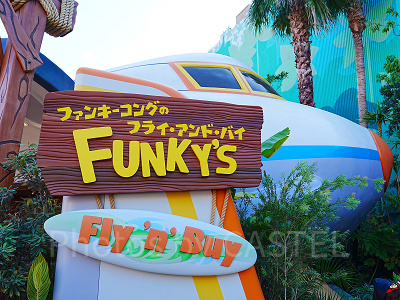 ファンキーコングのフライ・アンド・バイ