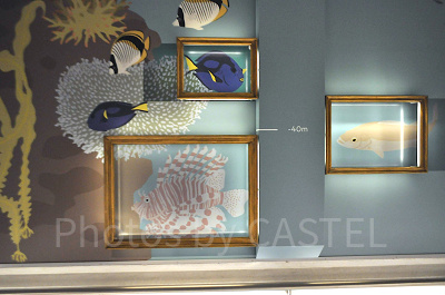 GALLERY 探求の回廊