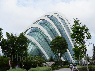 ガーデンズバイザベイ：クラウドフォレスト