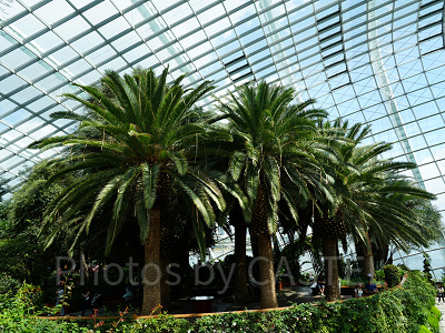 ガーデンズバイザベイ：所要時間