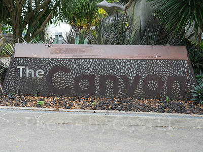 ガーデンズバイザベイ：ザ・キャニオン