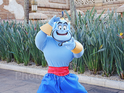 ディズニーシーで会えるジーニー