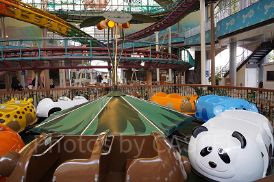 森のなかよしハイキング