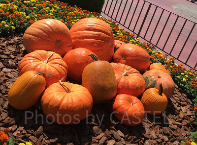 エントランスにはハロウィーンのカボチャが!