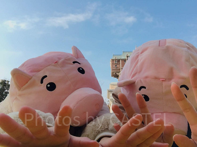 ハムのファンキャップ