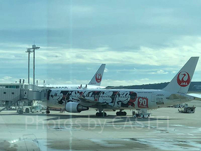 旅行代理店での当日券の取り扱い