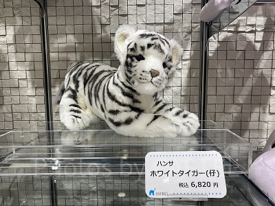 ハンサ ホワイトタイガー(仔)