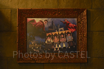ハリーポッター・アンド・ザ・フォービドゥン・ジャーニー（USJ）