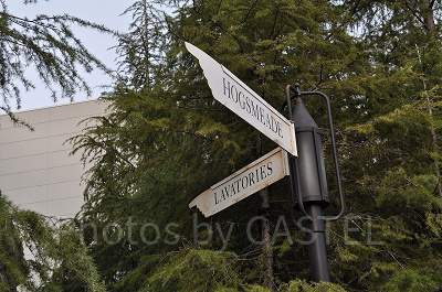 ハリーポッターエリアの標識/USJ