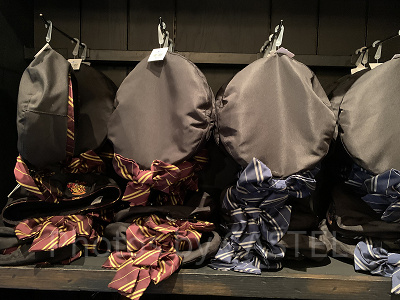 ハリポタベレー帽