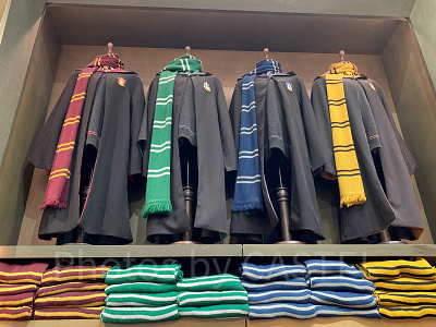 ハリーポッターのファッショングッズ