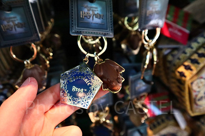 ハリーポッターグッズ/蛙チョコレートキーホルダー