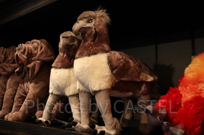 ハリポタに登場するヒッポグリフについて紹介！特徴や映画での名場面