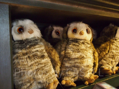 ハリーポッターふくろうぬいぐるみ