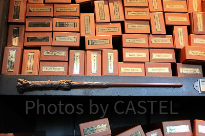 ハリー・ポッターの杖