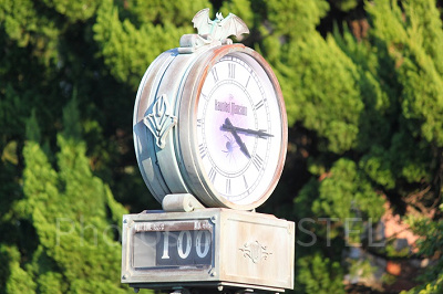 ホーンテッドマンションのファストパス発券機