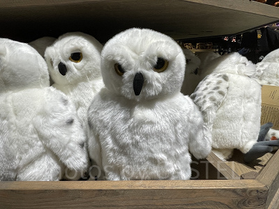 ヘドウィグのぬいぐるみ