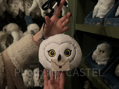 ヘドウィグのチケットホルダー