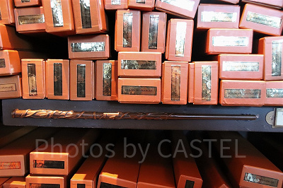 ハーマイオニー・グレンジャーの杖