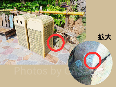 隠れミッキー〔フェアリー・ティンカーベルのビジーバギー〕