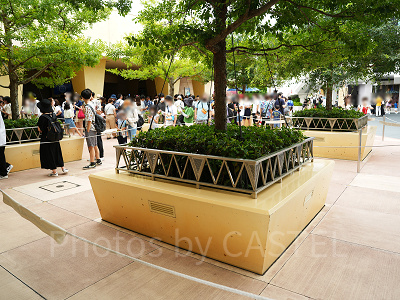 隠れミッキーがいるのはこちらの植え込み