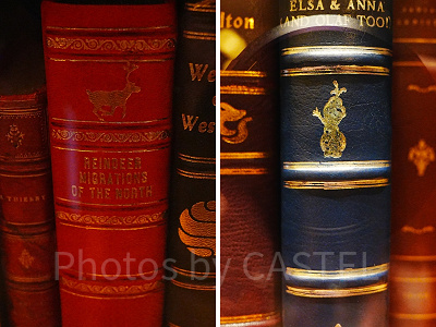 隠れオラフと隠れスヴェン〔アレンデール・ロイヤルバンケット〕