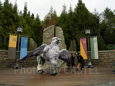 ヒッポグリフ・マジカル・レッスン