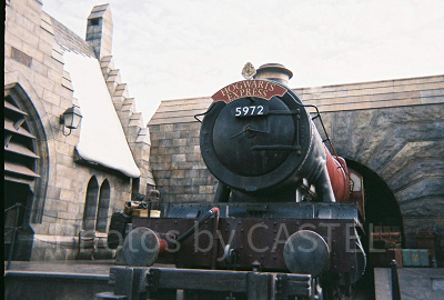 「写ルンです」で撮影したホグワーツ特急