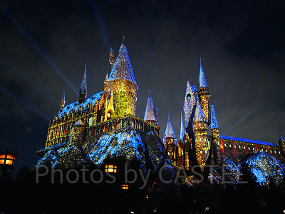 ホグワーツ・マジカルナイト・ウィンターマジック