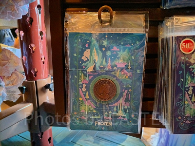 香港ディズニーアナ雪グッズ:コイン型ピンバッジ(台紙付)