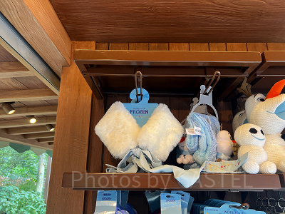 香港ディズニー】アナ雪グッズ全179種類まとめ！エリア限定の