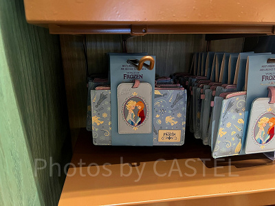 香港ディズニーアナ雪グッズ:マルチケース&パスケース
