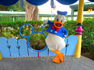 香港ディズニーのグリーティング:ファンタジーガーデンのドナルド