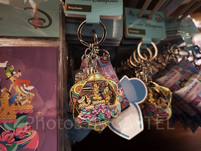 香港ディズニー20周年「フレンドタスティック」グッズ:キーチェーン