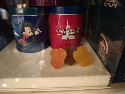 香港ディズニー20周年グッズ】Since2005グッズ10種類まとめ！開園から