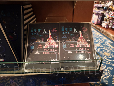 香港ディズニー20周年・スカイライングッズ：ポストカード